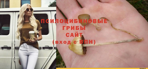ешки Лиски