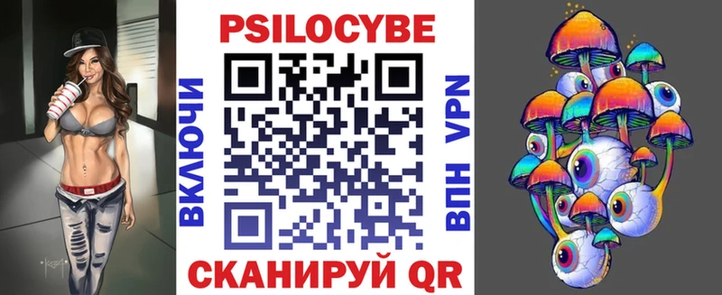 купить наркоту  Шагонар  Псилоцибиновые грибы Psilocybe 